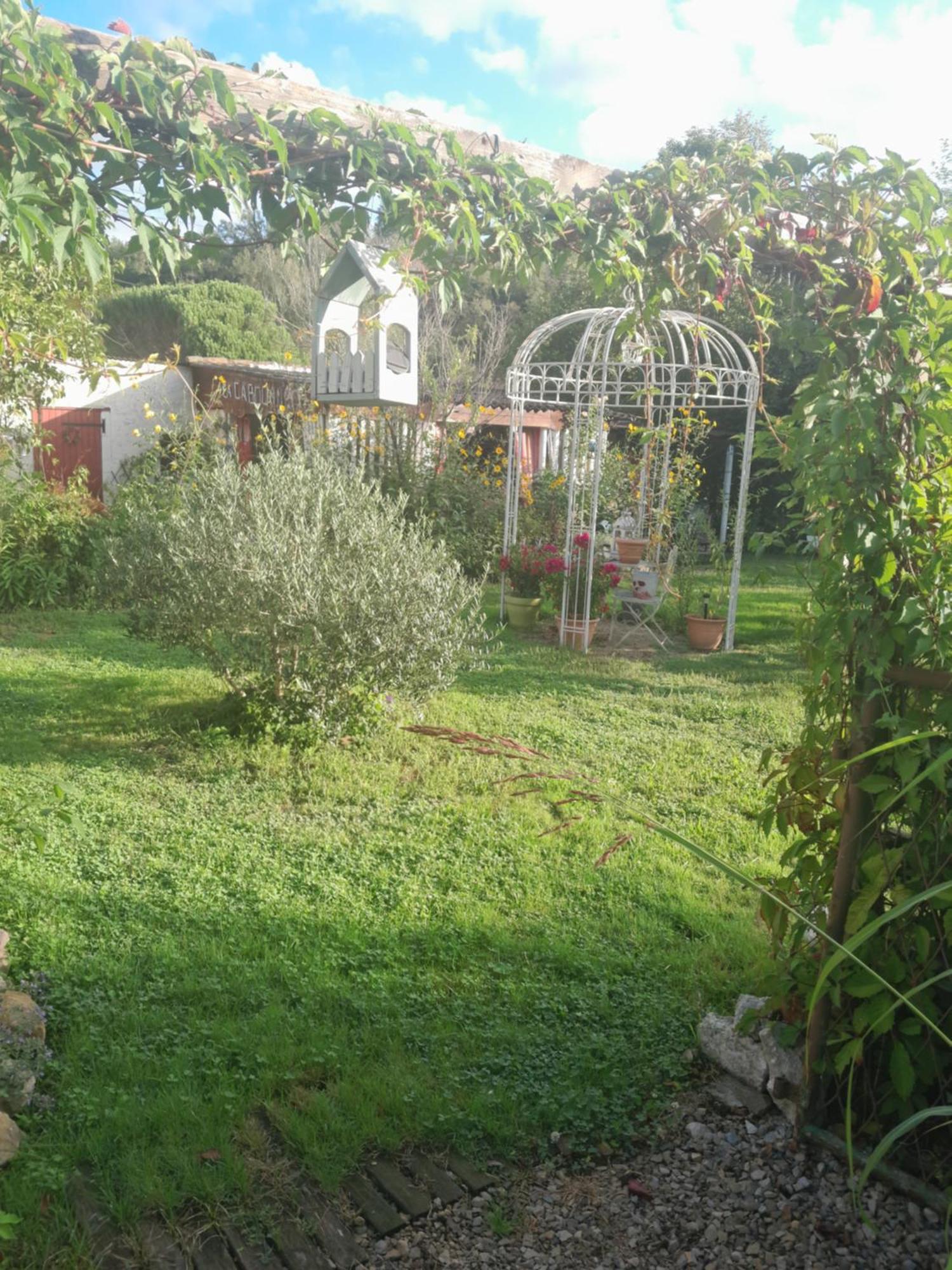 Chambre D'Hote Amitie Et Jardin Carmaux Extérieur photo