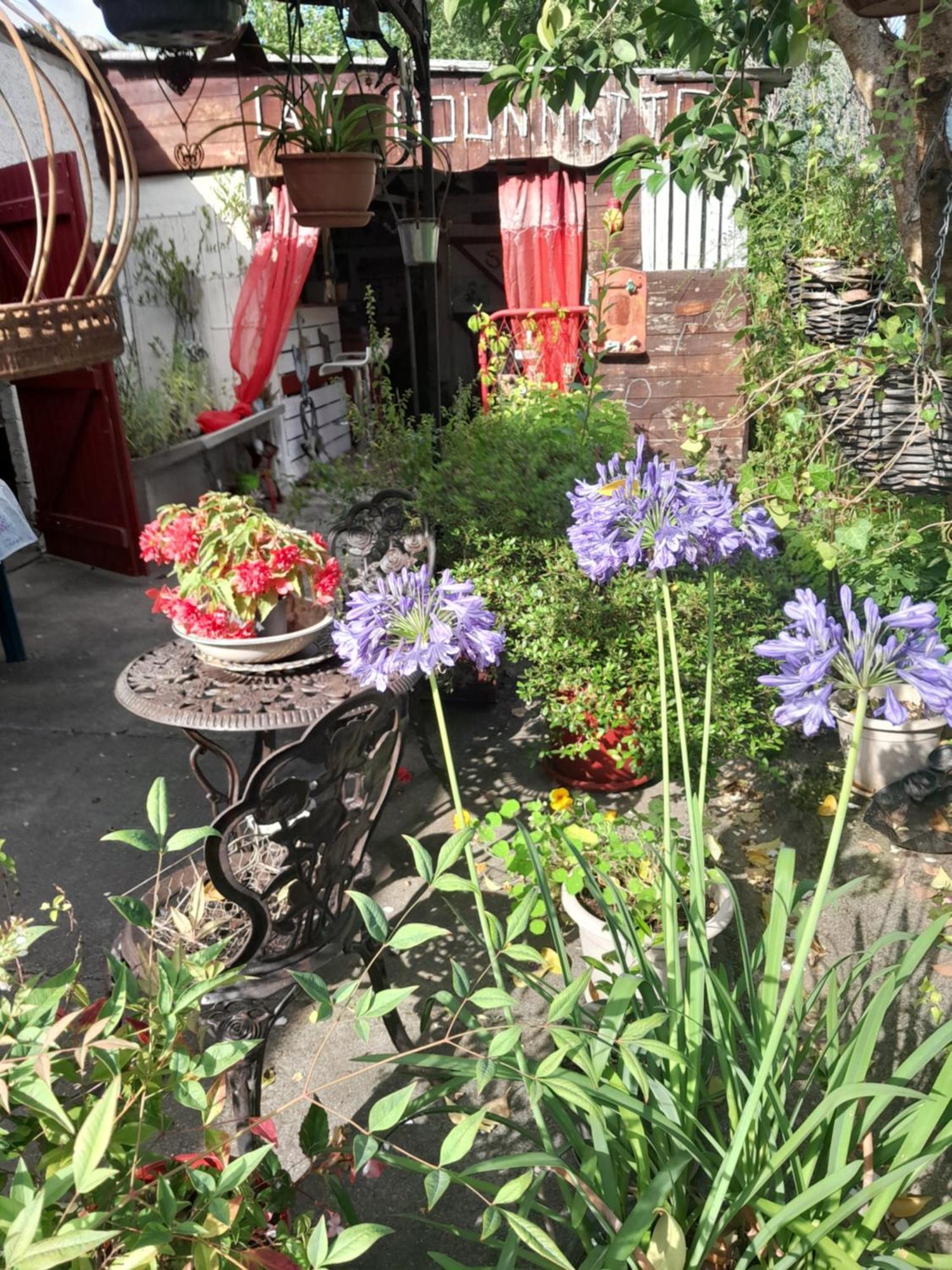 Chambre D'Hote Amitie Et Jardin Carmaux Extérieur photo